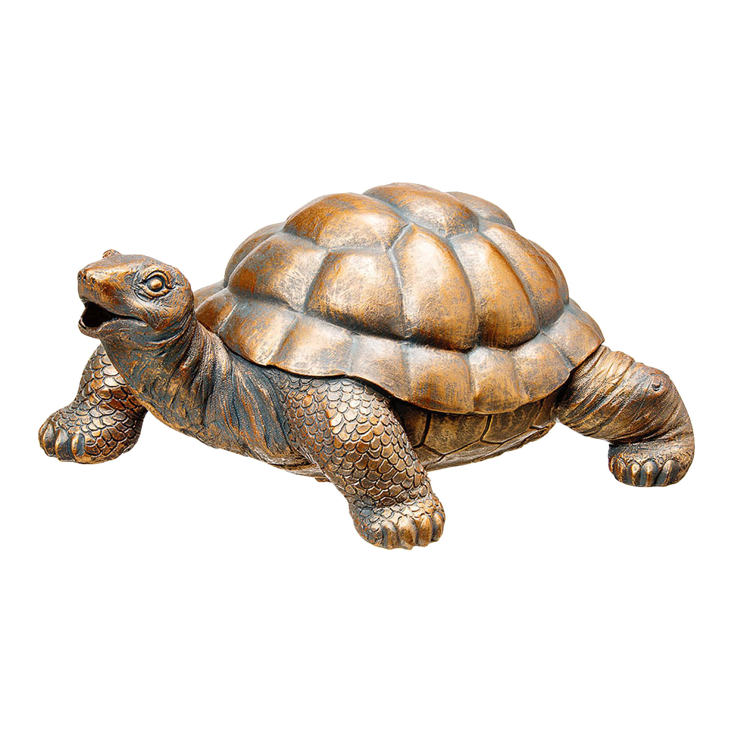 Bell´Acqua® TURTLE